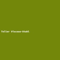 Toller Viscose-Stuhl