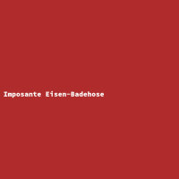 Imposante Eisen-Badehose
