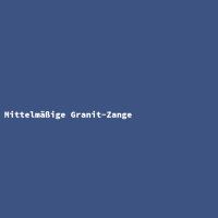 Mittelmäßige Granit-Zange