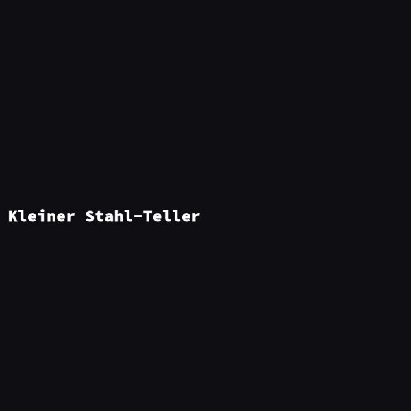 Kleiner Stahl-Teller