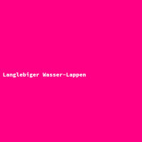 Langlebiger Wasser-Lappen